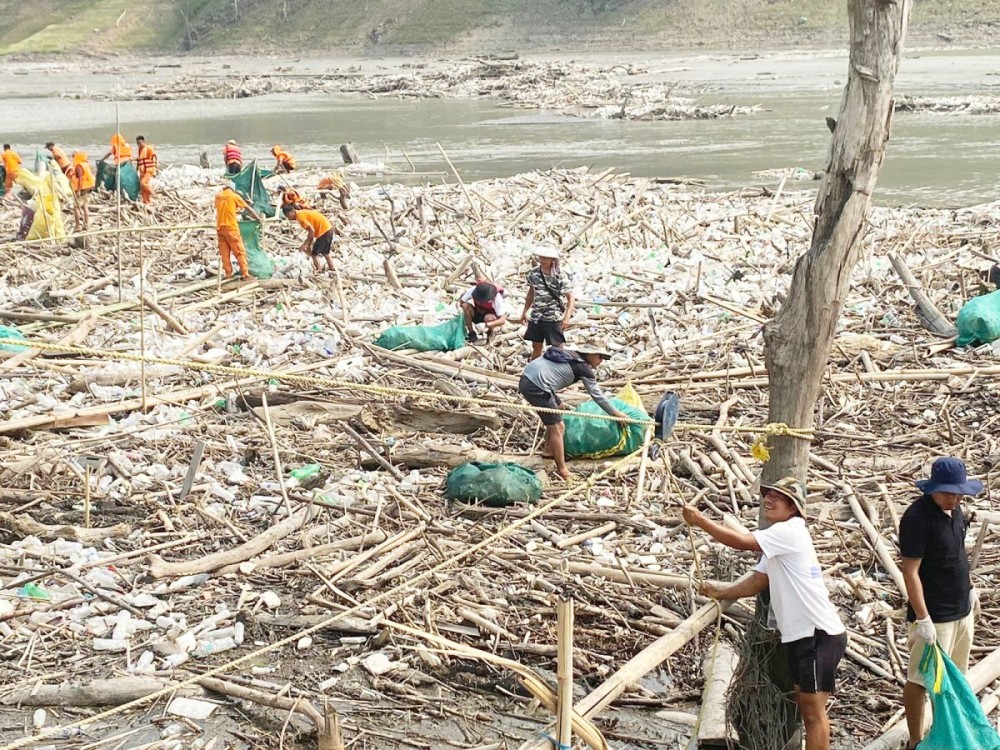 Clean Doyang Mission underway  at Doyang Dam in Wokha District. (Morung Photo)
